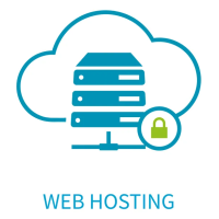 Webhosting 100-1